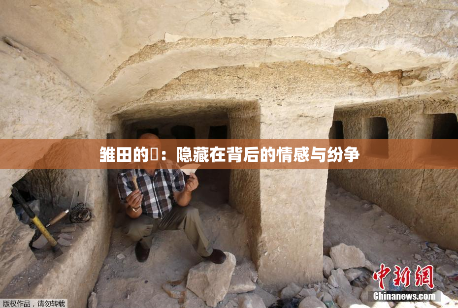 雏田的婬：隐藏在背后的情感与纷争