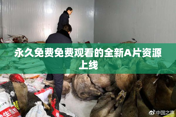 永久免费免费观看的全新A片资源上线