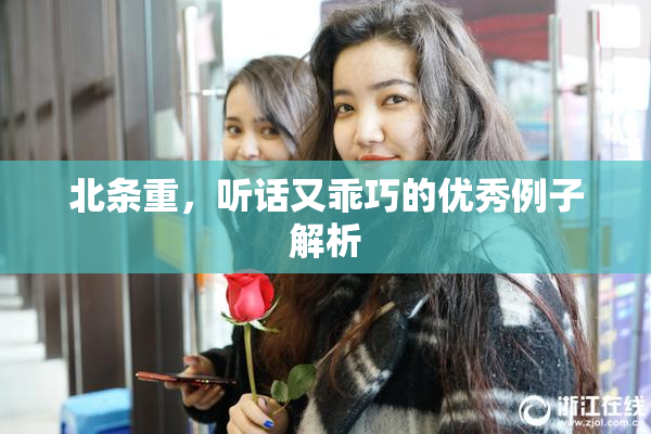 北条重，听话又乖巧的优秀例子解析