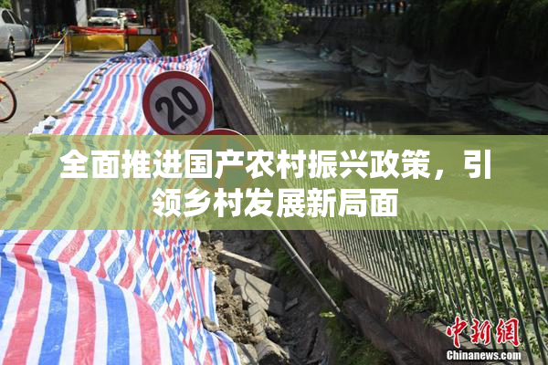 全面推进国产农村振兴政策，引领乡村发展新局面