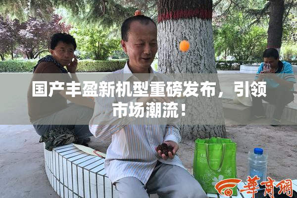 国产丰盈新机型重磅发布，引领市场潮流！