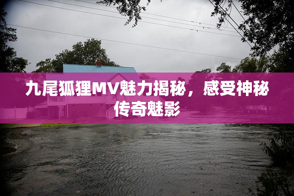 九尾狐狸MV魅力揭秘，感受神秘传奇魅影