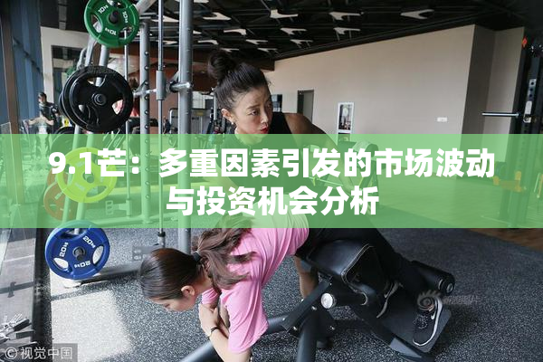 9.1芒：多重因素引发的市场波动与投资机会分析