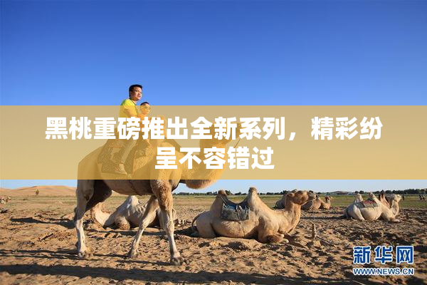 黑桃重磅推出全新系列，精彩纷呈不容错过