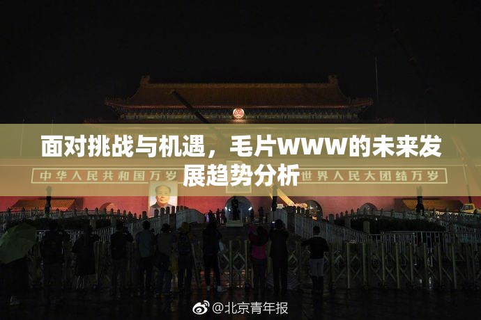 面对挑战与机遇，毛片WWW的未来发展趋势分析