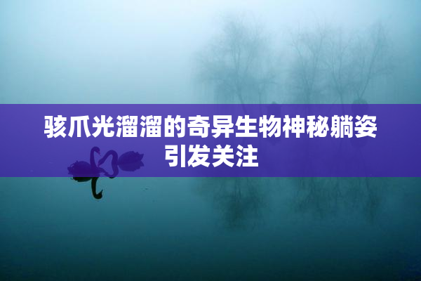 骇爪光溜溜的奇异生物神秘躺姿引发关注