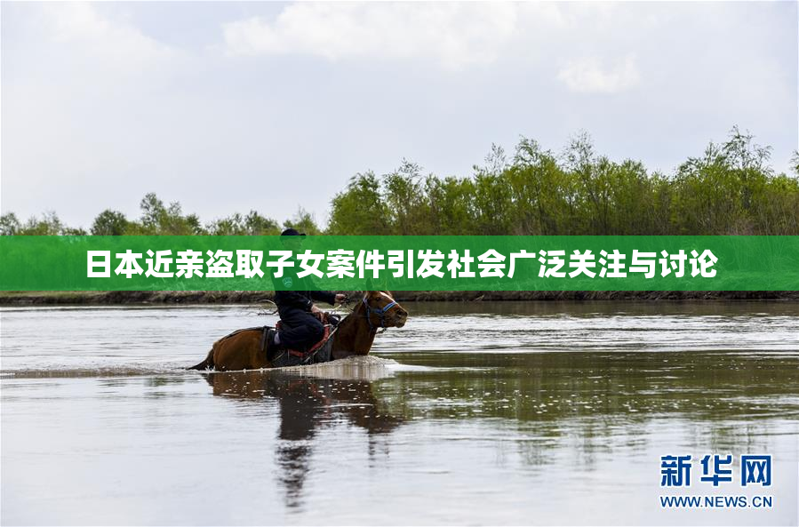 日本近亲盗取子女案件引发社会广泛关注与讨论
