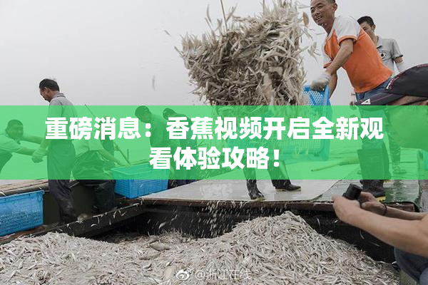 重磅消息：香蕉视频开启全新观看体验攻略！