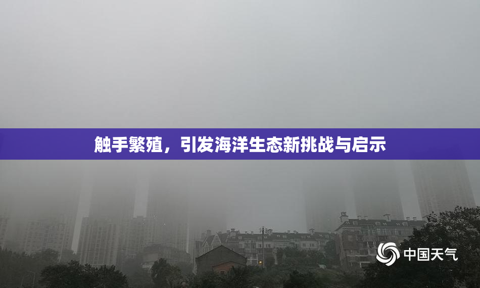 触手繁殖，引发海洋生态新挑战与启示