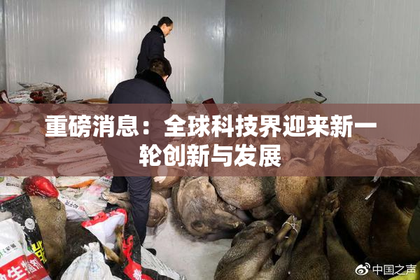 重磅消息：全球科技界迎来新一轮创新与发展