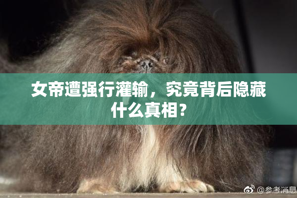 女帝遭强行灌输，究竟背后隐藏什么真相？