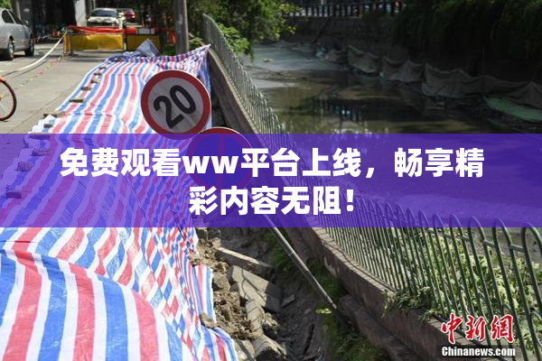 免费观看ww平台上线，畅享精彩内容无阻！