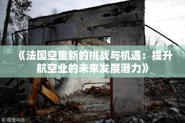 《法国空重新的挑战与机遇：提升航空业的未来发展潜力》