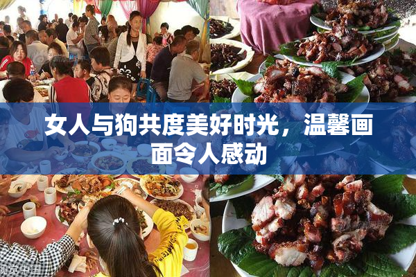 女人与狗共度美好时光，温馨画面令人感动