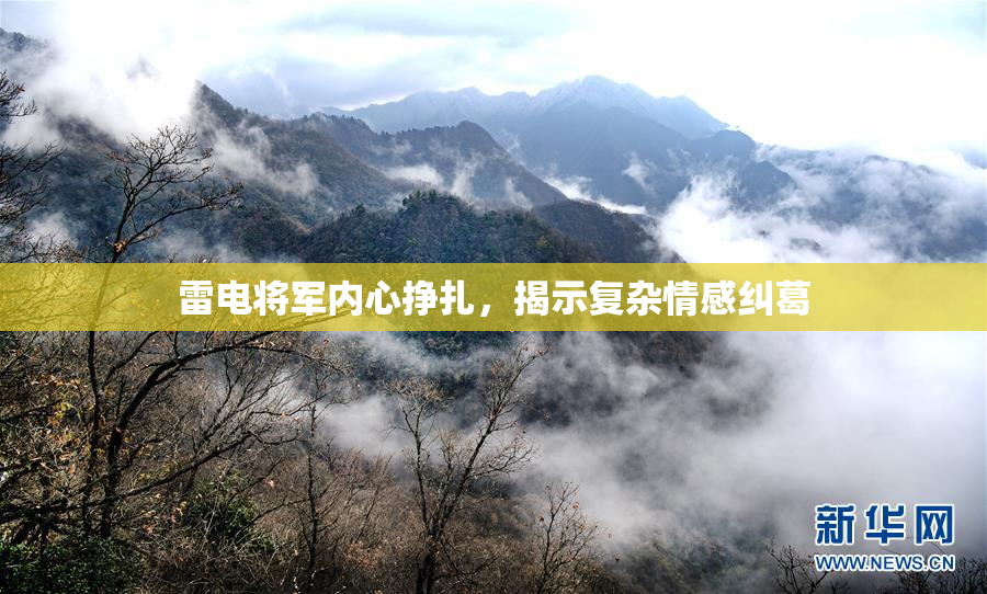 雷电将军内心挣扎，揭示复杂情感纠葛