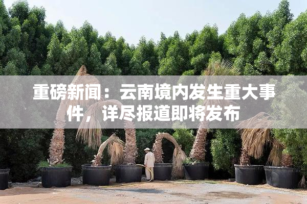 重磅新闻：云南境内发生重大事件，详尽报道即将发布