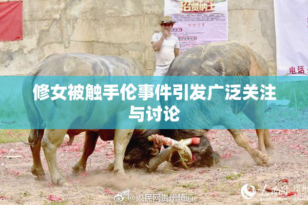 修女被触手伦事件引发广泛关注与讨论