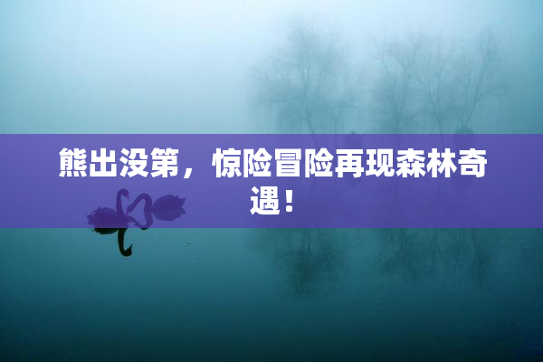 熊出没第，惊险冒险再现森林奇遇！