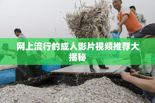 网上流行的成人影片视频推荐大揭秘