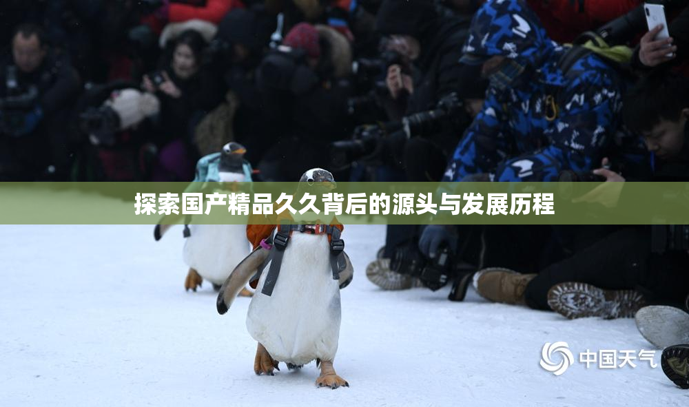 探索国产精品久久背后的源头与发展历程
