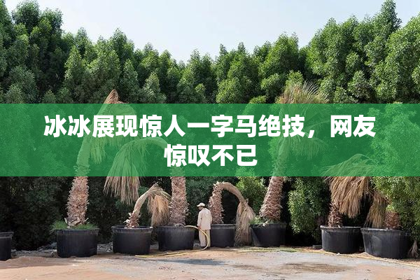 冰冰展现惊人一字马绝技，网友惊叹不已