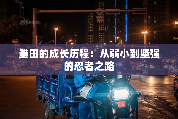 雏田的成长历程：从弱小到坚强的忍者之路
