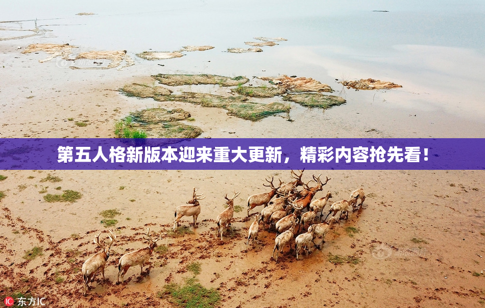 第五人格新版本迎来重大更新，精彩内容抢先看！