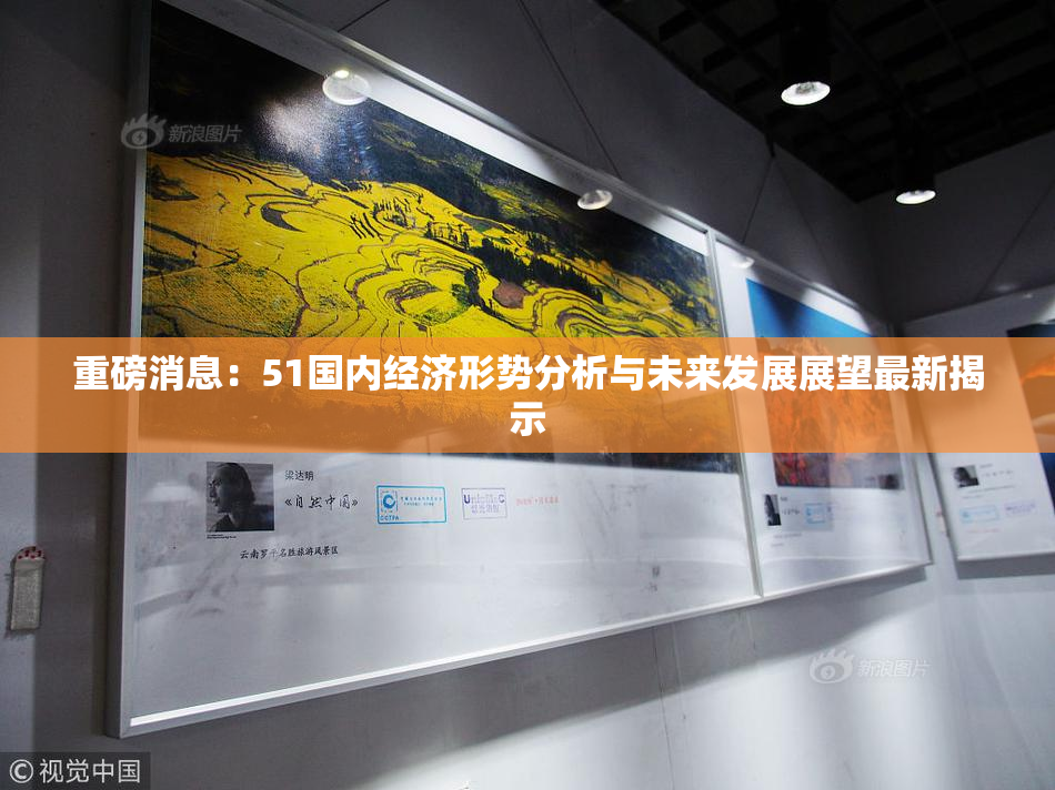 重磅消息：51国内经济形势分析与未来发展展望最新揭示
