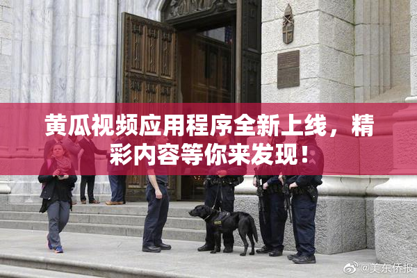 黄瓜视频应用程序全新上线，精彩内容等你来发现！
