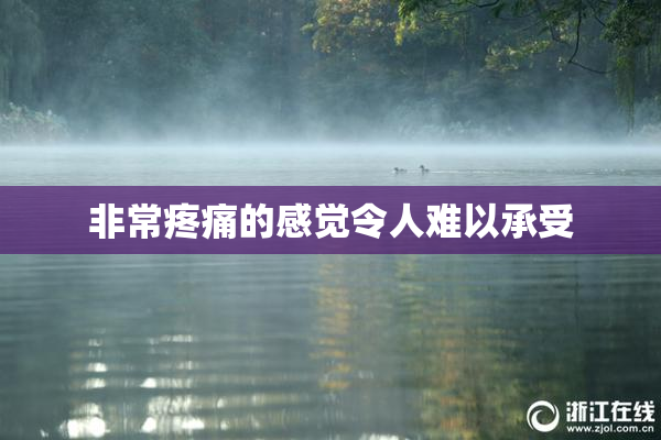 非常疼痛的感觉令人难以承受