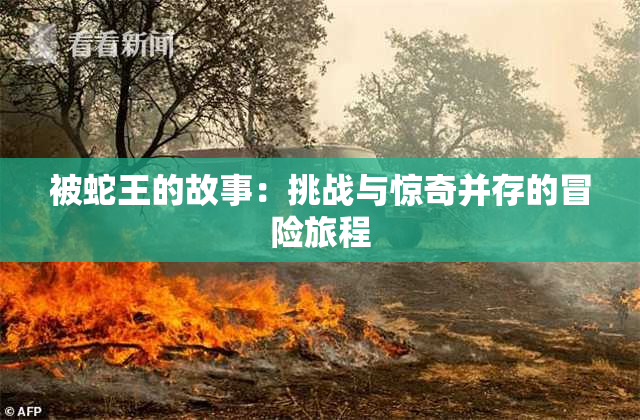 被蛇王的故事：挑战与惊奇并存的冒险旅程