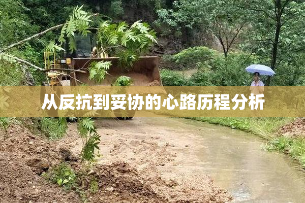 从反抗到妥协的心路历程分析