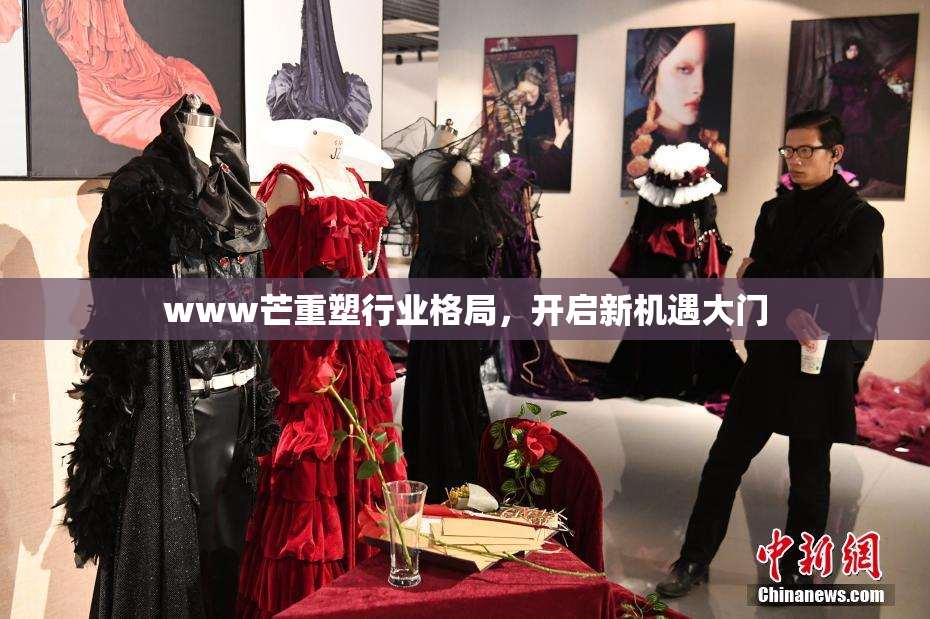 www芒重塑行业格局，开启新机遇大门