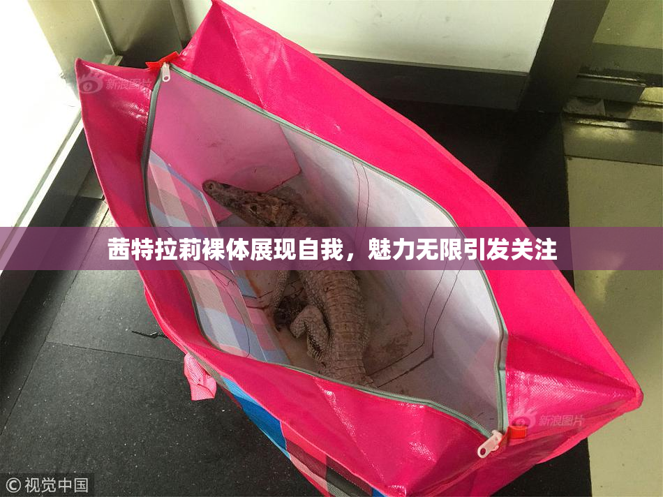 茜特拉莉裸体展现自我，魅力无限引发关注
