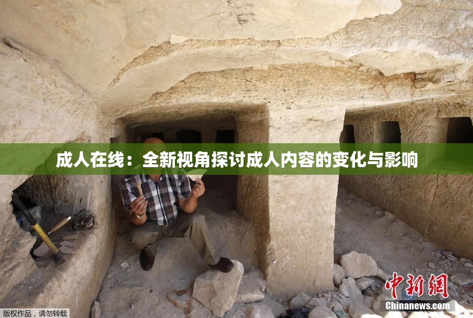 成人在线：全新视角探讨成人内容的变化与影响