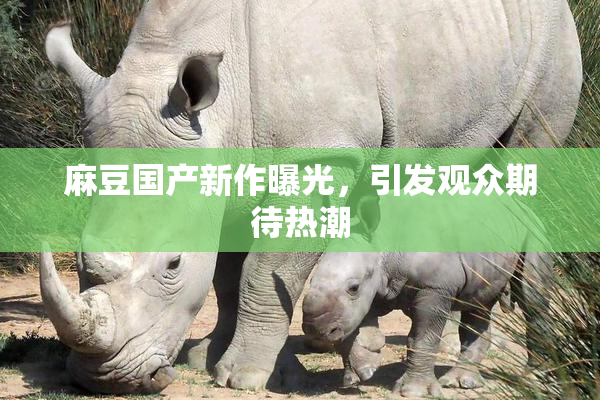 麻豆国产新作曝光，引发观众期待热潮