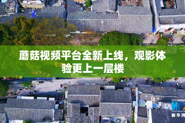 蘑菇视频平台全新上线，观影体验更上一层楼