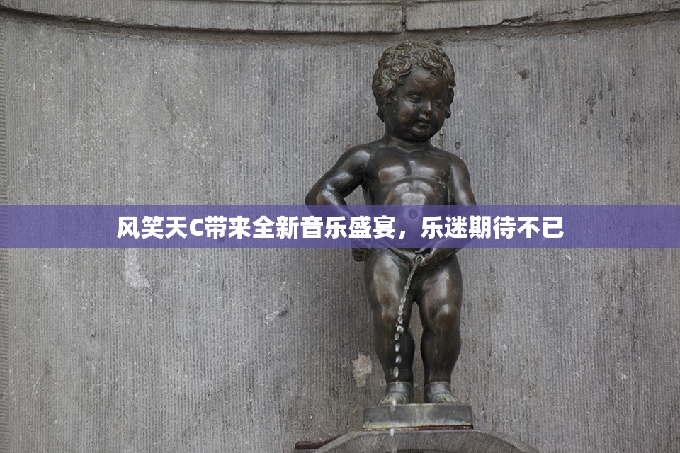 风笑天C带来全新音乐盛宴，乐迷期待不已