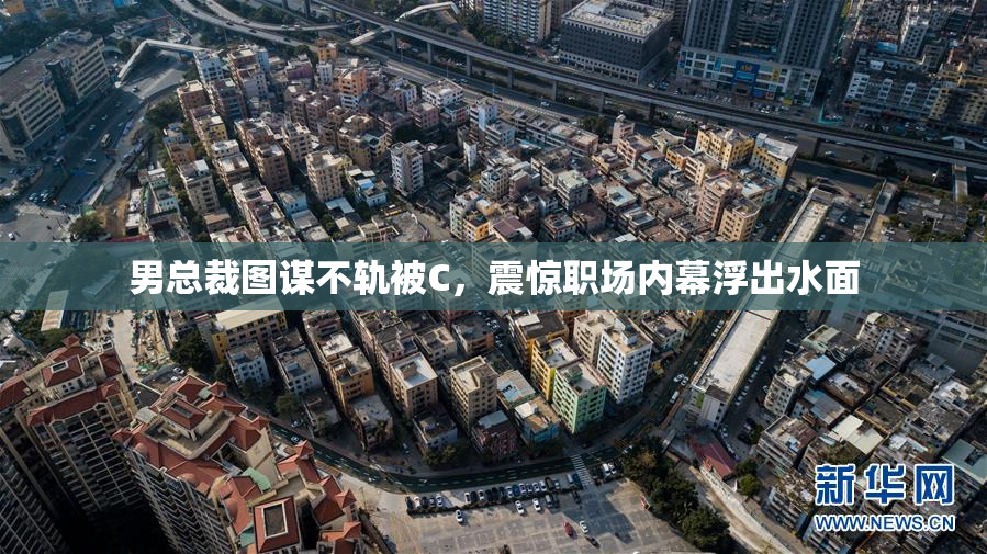 男总裁图谋不轨被C，震惊职场内幕浮出水面