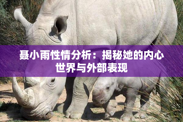 聂小雨性情分析：揭秘她的内心世界与外部表现