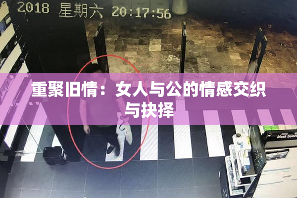 重聚旧情：女人与公的情感交织与抉择