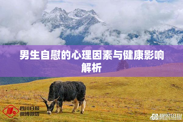 男生自慰的心理因素与健康影响解析