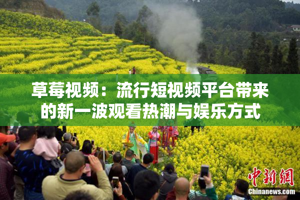 草莓视频：流行短视频平台带来的新一波观看热潮与娱乐方式