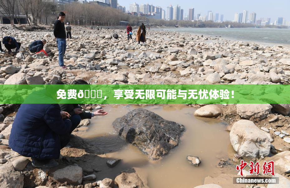 免费🔞，享受无限可能与无忧体验！