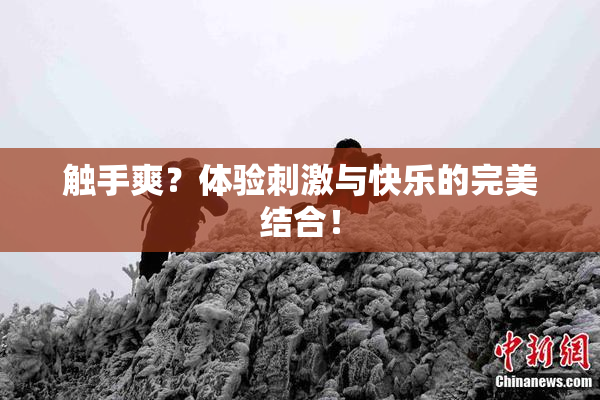 触手爽？体验刺激与快乐的完美结合！