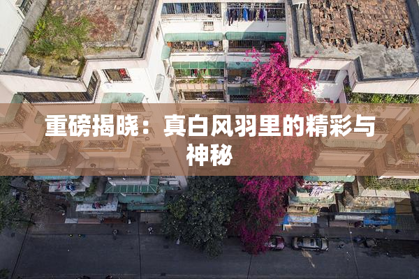 重磅揭晓：真白风羽里的精彩与神秘