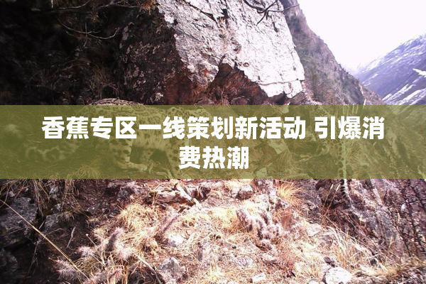 香蕉专区一线策划新活动 引爆消费热潮