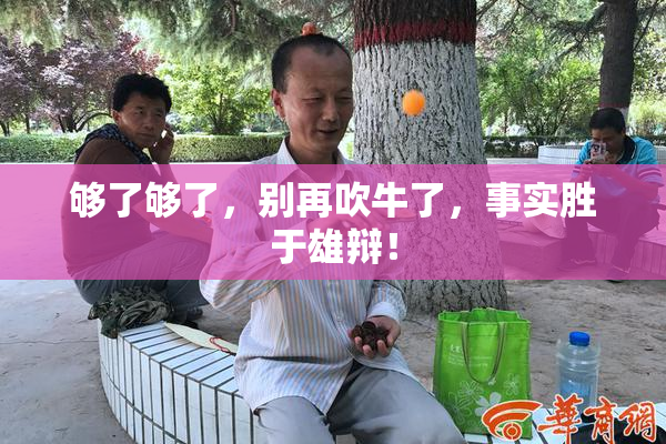 够了够了，别再吹牛了，事实胜于雄辩！
