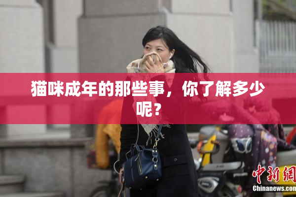 猫咪成年的那些事，你了解多少呢？