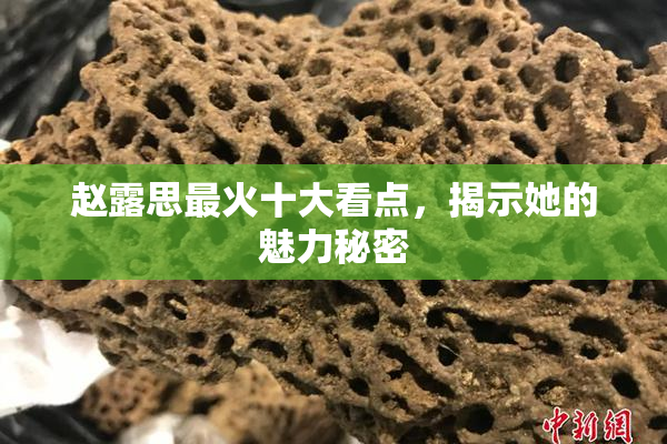 赵露思最火十大看点，揭示她的魅力秘密